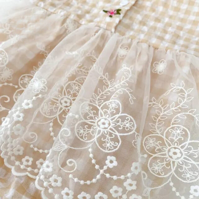 Beautiful Baby Girl's Romper Frock with Net Lace