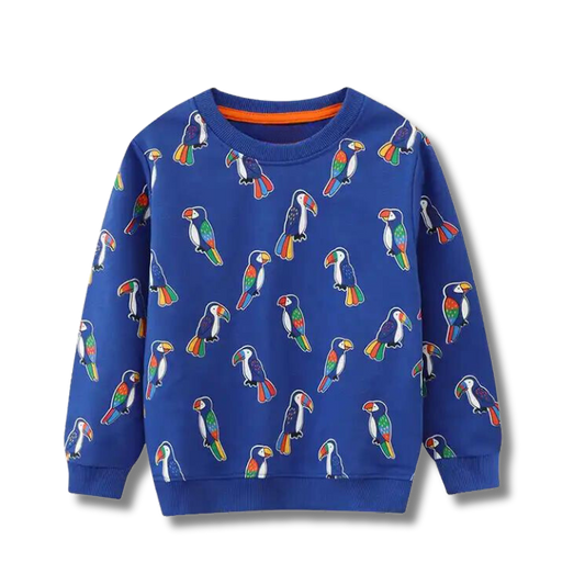 Trendy and Colorful Blue Spring Autumn Sweatshirt